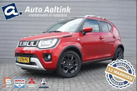 Used SUZUKI IGNIS Petrol 2023 Ad 