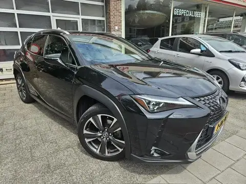 Used LEXUS UX Hybrid 2019 Ad 