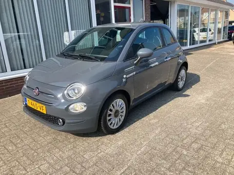 Used FIAT 500 Petrol 2020 Ad 