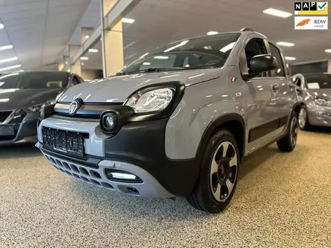 Used FIAT PANDA Hybrid 2020 Ad 