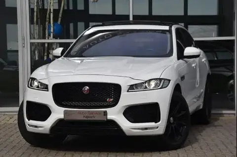 Used JAGUAR F-PACE Petrol 2018 Ad 