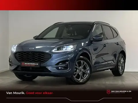 Used FORD KUGA Hybrid 2023 Ad 