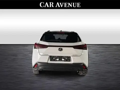 Used LEXUS UX Hybrid 2023 Ad 