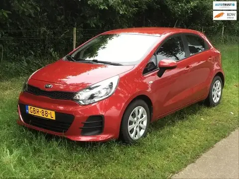 Used KIA RIO Petrol 2015 Ad 