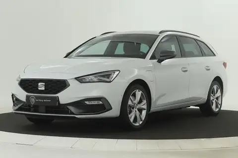 Used SEAT LEON Hybrid 2024 Ad 