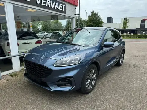 Annonce FORD KUGA Hybride 2020 d'occasion 