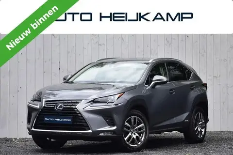 Used LEXUS NX Hybrid 2021 Ad 