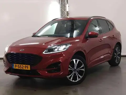 Used FORD KUGA Hybrid 2022 Ad 