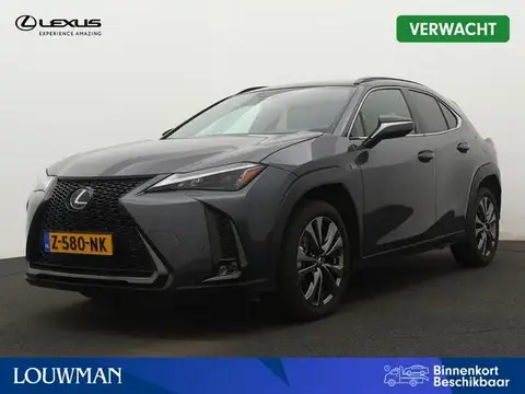 Used LEXUS UX Hybrid 2023 Ad 