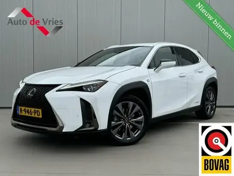 Annonce LEXUS UX Hybride 2019 d'occasion 