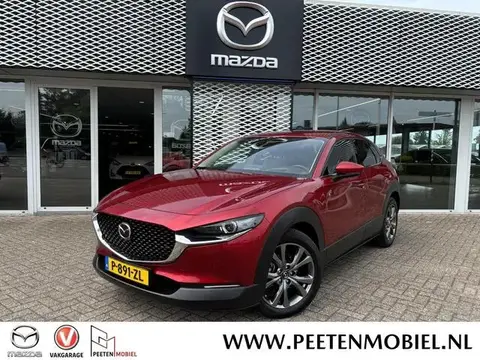 Used MAZDA CX-30 Hybrid 2022 Ad 