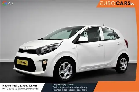 Used KIA PICANTO Petrol 2022 Ad 