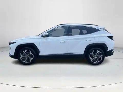 Used HYUNDAI TUCSON Hybrid 2021 Ad 