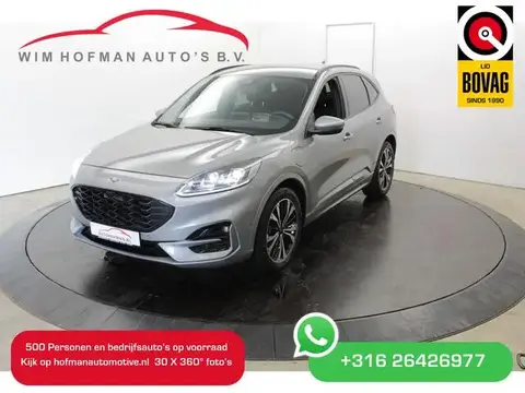 Used FORD KUGA Hybrid 2021 Ad 