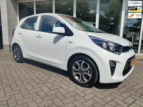 Annonce KIA PICANTO Essence 2020 d'occasion 