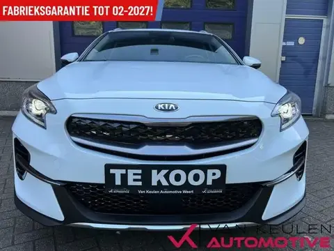 Annonce KIA XCEED Hybride 2021 d'occasion 