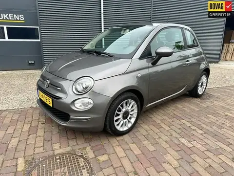 Used FIAT 500 Petrol 2017 Ad 