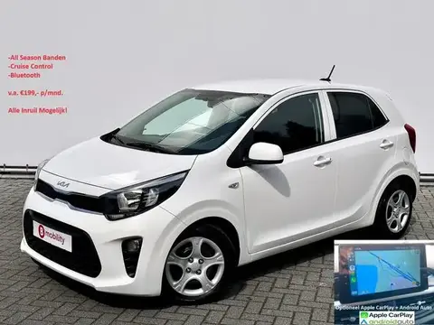 Used KIA PICANTO Petrol 2021 Ad 