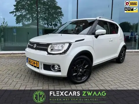 Used SUZUKI IGNIS Petrol 2019 Ad 