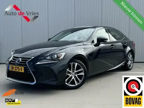 Used LEXUS IS Hybrid 2019 Ad 