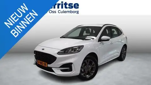 Annonce FORD KUGA Hybride 2023 d'occasion 