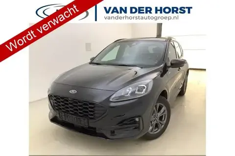 Used FORD KUGA Hybrid 2023 Ad 