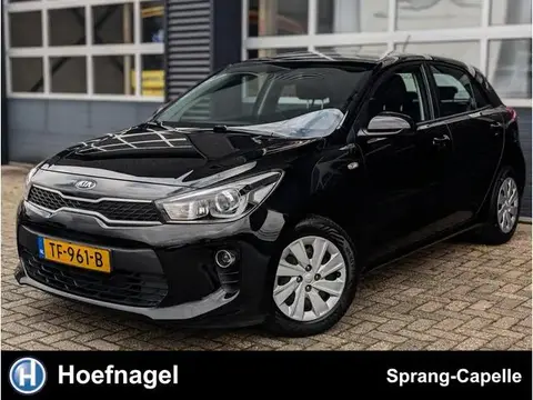 Used KIA RIO Petrol 2018 Ad 