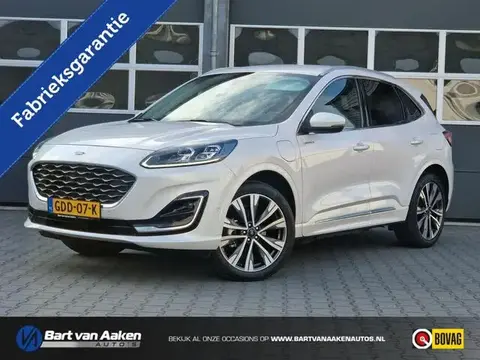 Annonce FORD KUGA Hybride 2023 d'occasion 