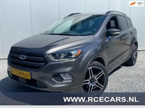 Used FORD KUGA Petrol 2017 Ad 