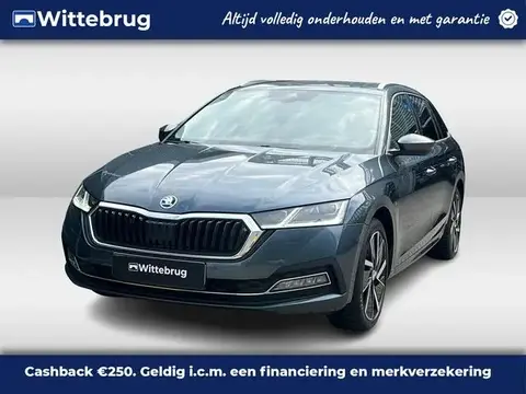 Annonce SKODA OCTAVIA Hybride 2020 d'occasion 