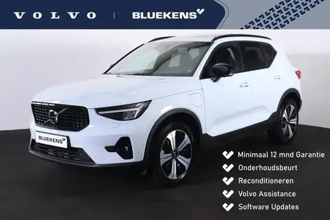 Used VOLVO XC40 Hybrid 2023 Ad 