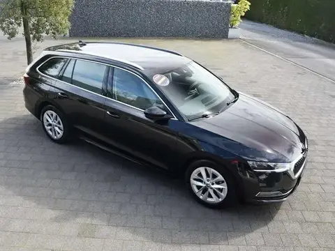 Used SKODA OCTAVIA Petrol 2023 Ad 