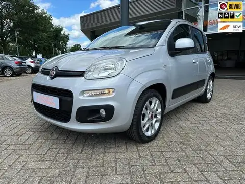 Used FIAT PANDA Petrol 2015 Ad 