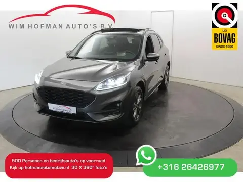 Annonce FORD KUGA Hybride 2022 d'occasion 