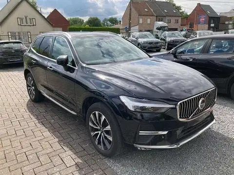 Used VOLVO XC60 Diesel 2022 Ad 