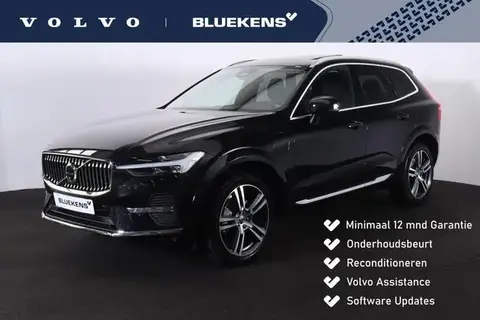 Annonce VOLVO XC60 Hybride 2023 d'occasion 