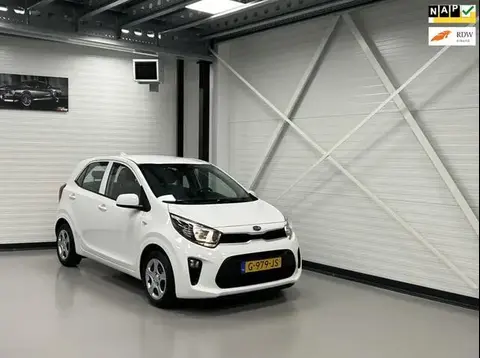 Annonce KIA PICANTO Essence 2019 d'occasion 