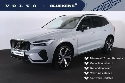 Used VOLVO XC60 Hybrid 2024 Ad 