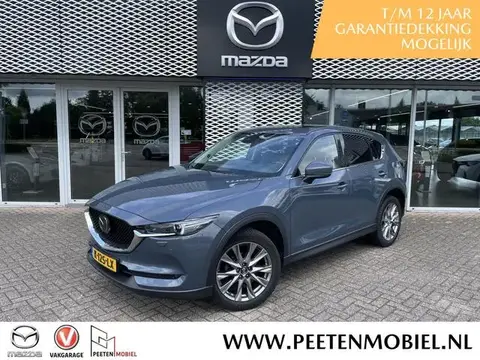 Annonce MAZDA CX-5 Essence 2021 d'occasion 