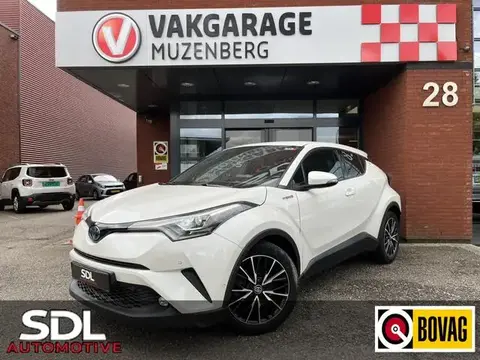 Used TOYOTA C-HR Hybrid 2018 Ad 