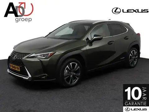 Used LEXUS UX Hybrid 2022 Ad 