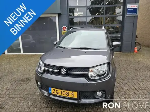 Used SUZUKI IGNIS Petrol 2019 Ad 