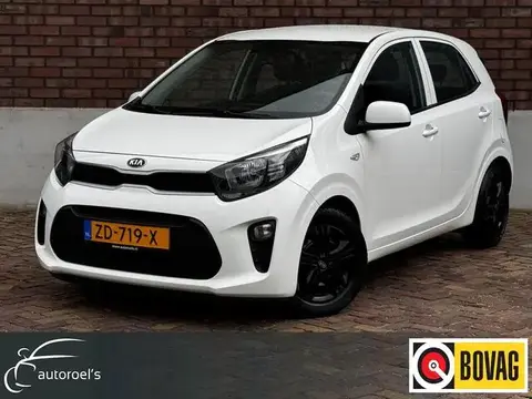 Used KIA PICANTO Petrol 2019 Ad 