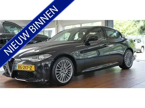 Used ALFA ROMEO GIULIA Petrol 2019 Ad 