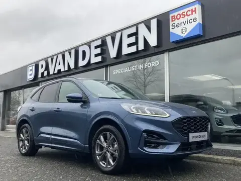 Annonce FORD KUGA Hybride 2022 d'occasion 