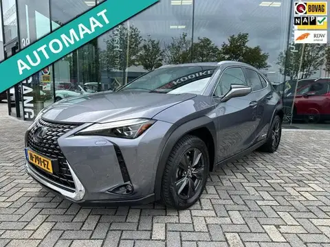 Used LEXUS UX Hybrid 2020 Ad 