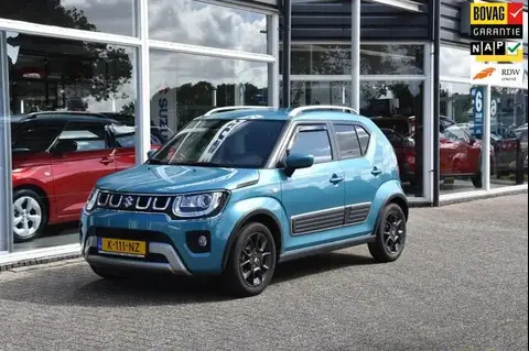 Annonce SUZUKI IGNIS Hybride 2021 d'occasion 