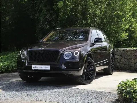 Used BENTLEY BENTAYGA Hybrid 2019 Ad 