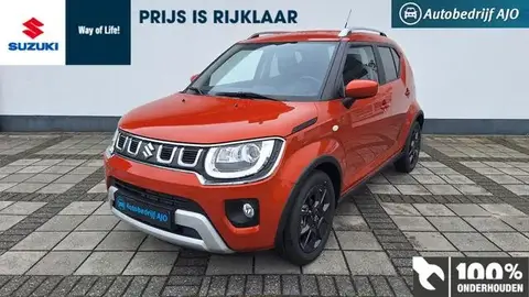 Annonce SUZUKI IGNIS Hybride 2023 d'occasion 