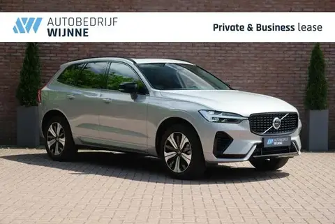 Used VOLVO XC60 Hybrid 2023 Ad 